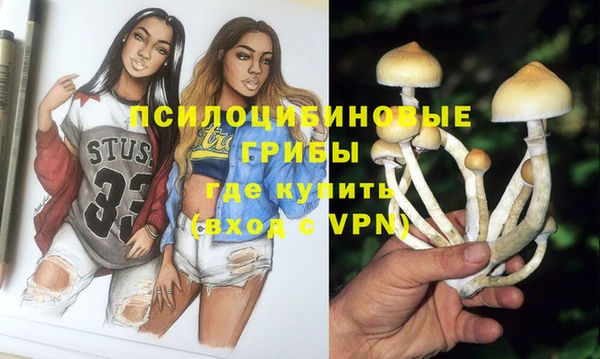 гашик Гусиноозёрск