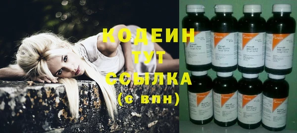гашик Гусиноозёрск