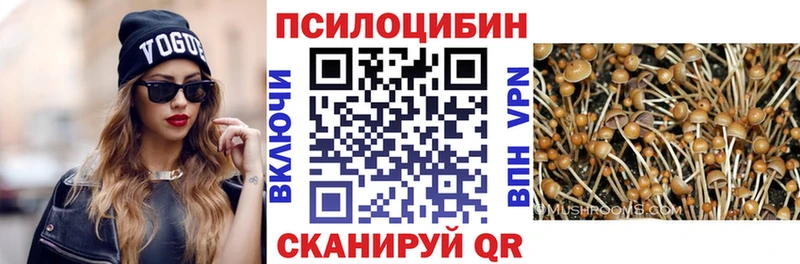 KRAKEN как зайти  Облучье  Псилоцибиновые грибы Cubensis 
